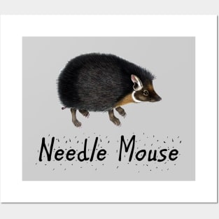 Needle Mouse Posters and Art